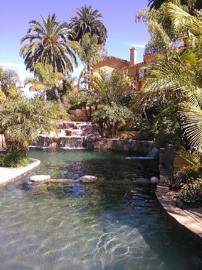 Backyard lagoon pool with rock waterfall and palms